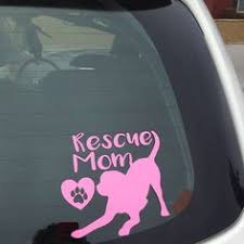 If you would like to apply to adopt please follow this link to our application form. 61 Best Animal Rescue T Shirts Ideas Shirts Animal Rescue Tshirts Rescue Tshirts
