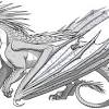 Which wings of fire dragon tribe am i. Https Encrypted Tbn0 Gstatic Com Images Q Tbn And9gcrpe5ifypp5zgze Akwgr8sejjqhtaho V Dkvrs Awb8zymhh9 Usqp Cau