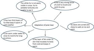 Weather Climate And Adaptations Of Animals To Climate School Help By Gunjan Weather And Climate Adaptations School Help