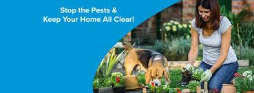 Through regular home and yard inspections, all clear pest control keeps your home free from unwanted pests. All Clear Pest Control Home Facebook