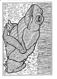 Aboriginal face adult coloring page | free coloring pages | printable coloring pages for kids and adults Dot Painting Australian Animals Outline Painting Inspired