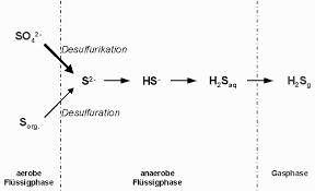 Untersuchungen zur biogenen schwefelsäurekorrosion in einer großversuchsanlage. Http Www Biogas Akademie De Images Stories Bilder Bhkw Bilder Ursachen Und Mechanismen Der Korrosion In Biologischen Anlagen Pdf