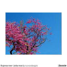 Pin On Floral Flowers