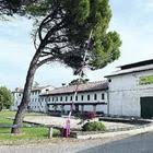 We did not find results for: Marius Alin Marinica Il Gazzettino