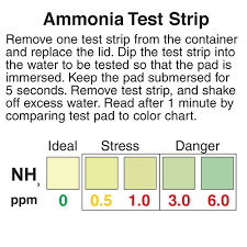 Ammonia Test Strips Precision Laboratories