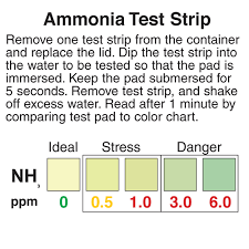 ammonia test strips precision laboratories