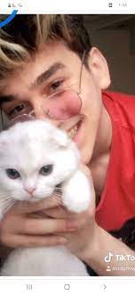 pin by نور مار ملك اليوتيوب جلاد on نور مار cats animals