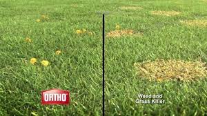 Maybe you would like to learn more about one of these? Ortho Weed B Gon Tv Commercial Kill Weeds Not Lawns Ispot Tv