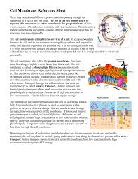 All latest vacancies in the us listed on jobrapido. Cell Membrane Reference Sheet