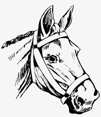 Image result for free cliparthorse