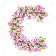 The best selection of royalty free alphabet c logo vector art, graphics and stock illustrations. Letter C Alphabet With Zinnia Flower Abc Concept Type As Logo Typography Design Stock Photo Picture And Royalty Free Image Image 40321150
