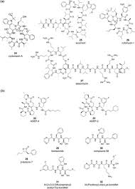 Targeting the Proteostasis Network for Mycobacterial Drug Discovery