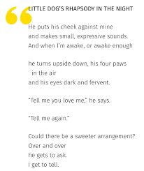 Mary Oliver Dog Poems Dog Poems Mary Oliver But Is It Art