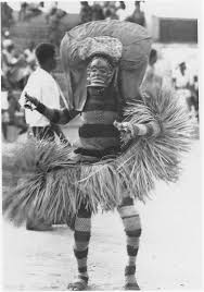 Image result for Dissotis ruandensis