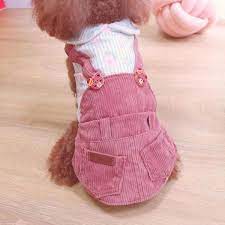dog clothes for girls dog clothes birthday girl doggo dogscorner dogclothes dog clothes female dog clothes diy dog clothes patterns