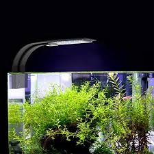 The led is a nice addition to the aquarium which should outlast the original fluorescent light and be a cost saver as well. Compare Prices For Nicrew Across All Amazon European Stores