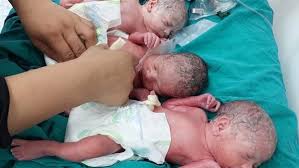 ‫سيدة تضع 3 توائم داخل أحد المستشفيات بالمنوفية‬‎