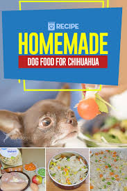 homemade dog food for chihuahua recipe