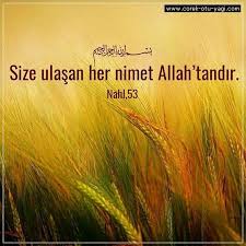 Ayetler Goruntuler Ile Islam Ozlu Sozler Manevi
