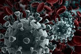 New virus variants causing concern in africa. Varian Baru Virus Corona Muncul Di Afrika Selatan Gejala Lebih Parah Banyak Menginfeksi Usia Muda