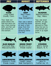 At its widest, it measures over 20 miles. New England S 2007 Fishing Calendar