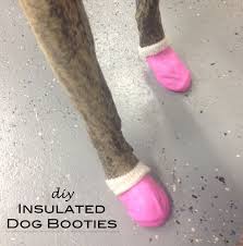For more ways to use what you already have, check out these 80 old items fantastically fit for repurposing. Diy Doggie Booties Craft Treats Simple Healthy And Holistic Dog Treats Make Your Dog Happy
