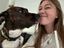 Hey East Lansing! Is anyone looking for a pet sitter during spring break? I  have years of experience with animals of my own and pet sitting! I would  love to chat! Feel