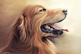 Turn your photos into art. Turn Your Dog Or Any Pet Portrait Into Great Oil Painting By Gopyur Fiverr