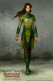 Sylfienn Wood Elf Monk Elf Druid Wood Elf Female Elf