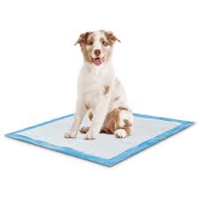 Petsmart offers quality products and accessories for a healthier, happier pet. Animaze Absorbent Dog Potty Pads Count Of 50 Petco
