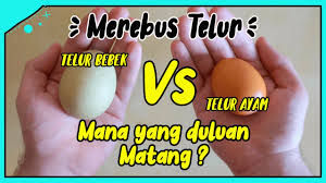 Maybe you would like to learn more about one of these? Eksperimen Merebus Telur Ayam Bebek Dan Itik Selama 5 Menit Mana Yang Duluan Matang Youtube