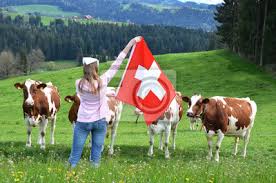 Sind sie an emmental in schweiz interessiert? Madchen Mit Der Schweizer Flagge Gegen Kuhe Emmental Schweiz Wandposter Poster Fuhr Schwellen Emmentaler Myloview De