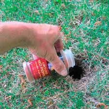A Chipmunk Hole Gets A Decent Sprinkling Of Red Pepper Chipmunk Holes Chipmunk Repellent Get Rid Of Squirrels