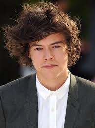 More like hairy styles, am i right? How To Get Hair Like Harry Edward Styles 15 Best Haircuts Atoz Hairstyles