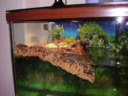 Nail together beams to form two rectangles, one for the bottom and one for the top of the frame. 12 Our 120 Gallon Turtle Tank Ideas Turtle Tank Turtle Turtle Aquarium