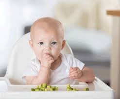 See more ideas about new baby products, baby, baby nursery. Baby Meal Ideas Foods For Babies Emma S Diary