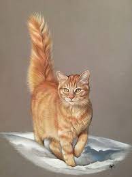 Chat Roux Orange Tabby Cats Tabby Cat Cat Art
