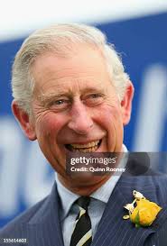 65 Diamond Jubilee Plate Stock Photos, High-Res Pictures, and Images