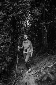 Image result for Great Lakes Medium Green Dark 1956 Wayne Works