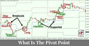 What Is The Pivot Point In Forex Trading - PAXFOREX