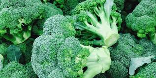 Give each plant about 18 inches of room in each direction. 6 Tips For Growing Broccoli This Fall How To Plant Broccoli