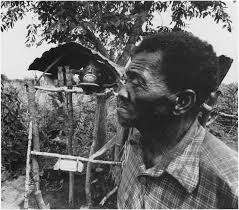 Image result for Dissotis ruandensis