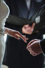 Pin On Frenchie Bulldog