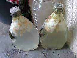 Fungsi baja roti sama seperti baja yakult iaitu untuk merancakkan pengeluaran bunga dan melebatkan buah selain menggemukkan daun. Cik Azz Baja Roti