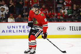 Karriere (spiele, tore, assists) und die transferhistorie. Dominik Kubalik Named Nhl S Rookie Of The Month On Tap Sports Net