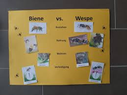 Schmiede das eisen, solange es heiß ist. Bienen Und Wespen Pankower Fruchtchen