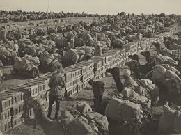 Administrator – World War 2 History Short Stories