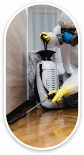 Wildlife damage control serving bentonville, arkansas and area. Best Pest Control Llc Arkansas Little Rock Northern Ar Pest Infestation Pest Control