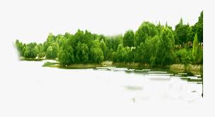 Forest Png Hd Forest Png Free Transparent Clipart Clipartkey 11,896 transparent png illustrations and cipart matching forest. forest png hd forest png free