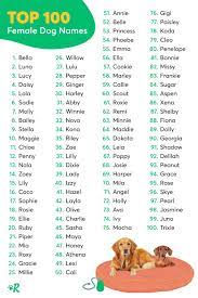 Dog names starting with the letter b are popular for a reason: 43 Best Dog Names Ideas Dog Names Popular Dog Names Most Popular Dog Names